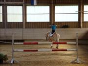 voltitag 2009 _CD2 043